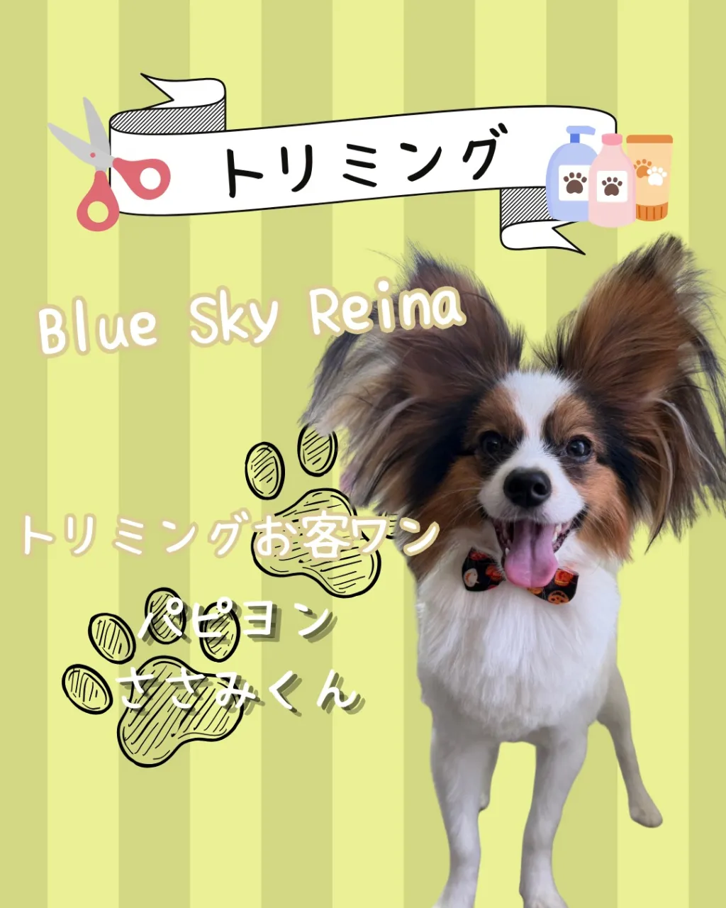 トリミング🐾